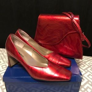 Brick Red Hightlighs 3” Pumps & Matching Handbag